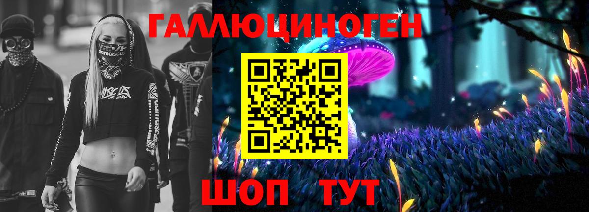 Богородицк  Галлюциногенные грибы мухоморы  Вход с VPN 